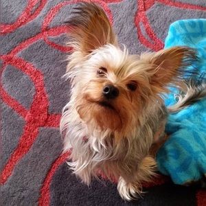 Meet your Posher, Maryjey